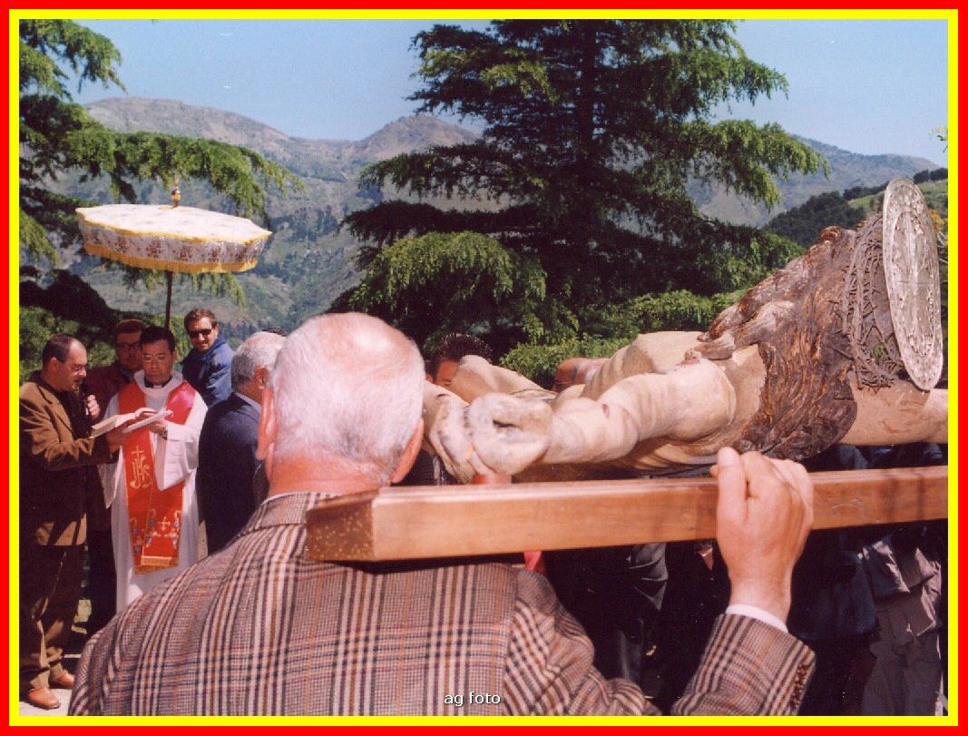SCINNUTA07_tn.jpg