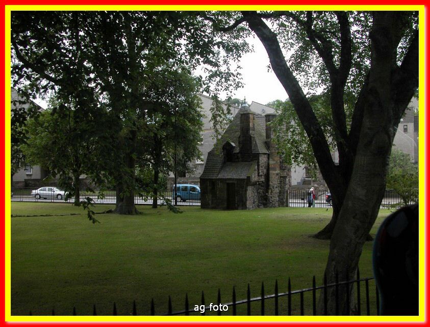 DSCN7058_tn.jpg