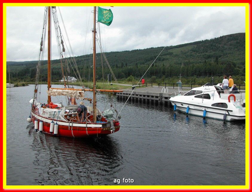 DSCN7390_tn.jpg
