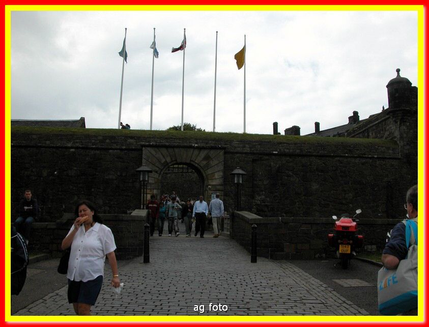 DSCN7432_tn.jpg