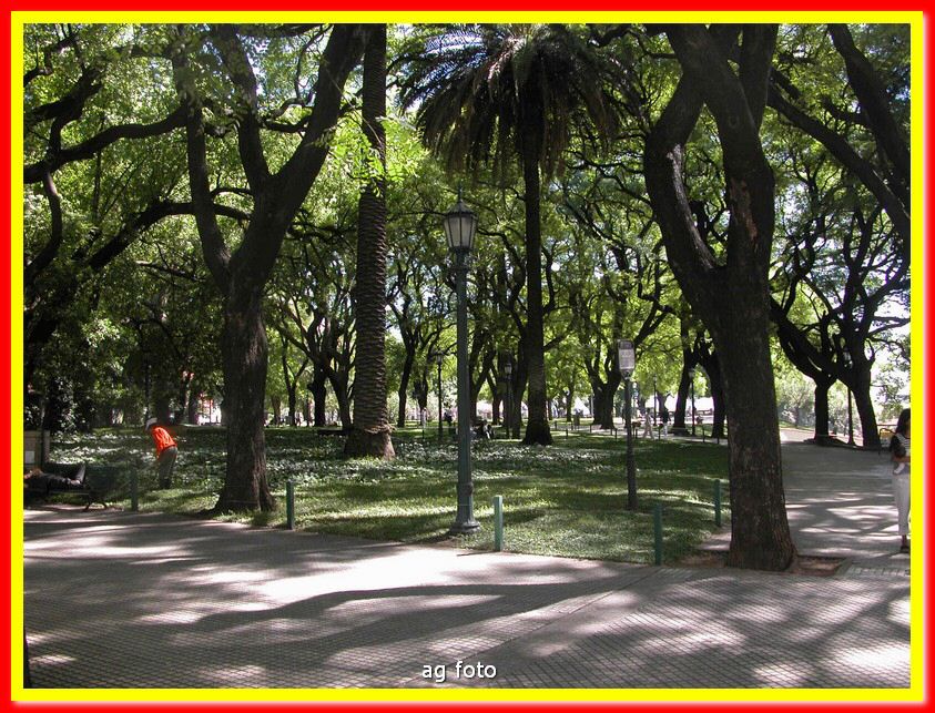 DSCN0006_tn.jpg