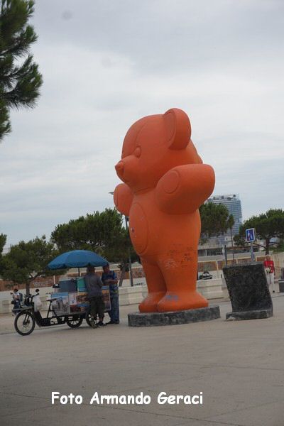 DSC04766_tn.jpg