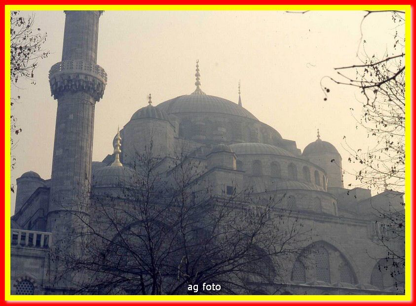 1992D60014_tn.jpg