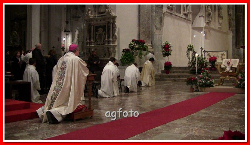 IMG_2943_tn.jpg