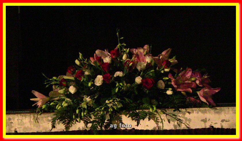 IMG_0213_tn.jpg