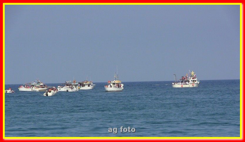 IMG_2972_tn.jpg