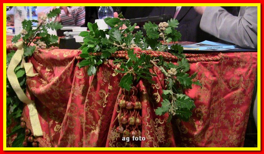 IMG_6357_tn.jpg