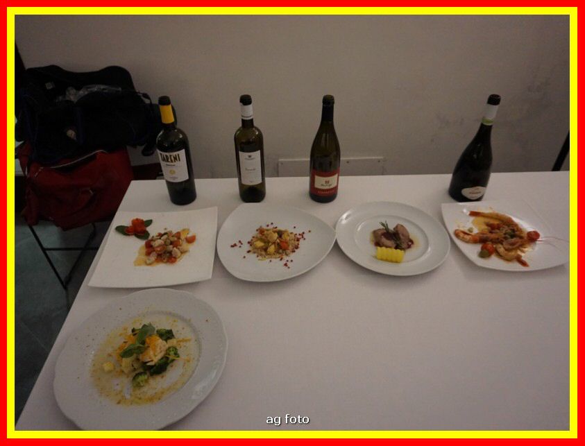 DSC01034_tn.jpg