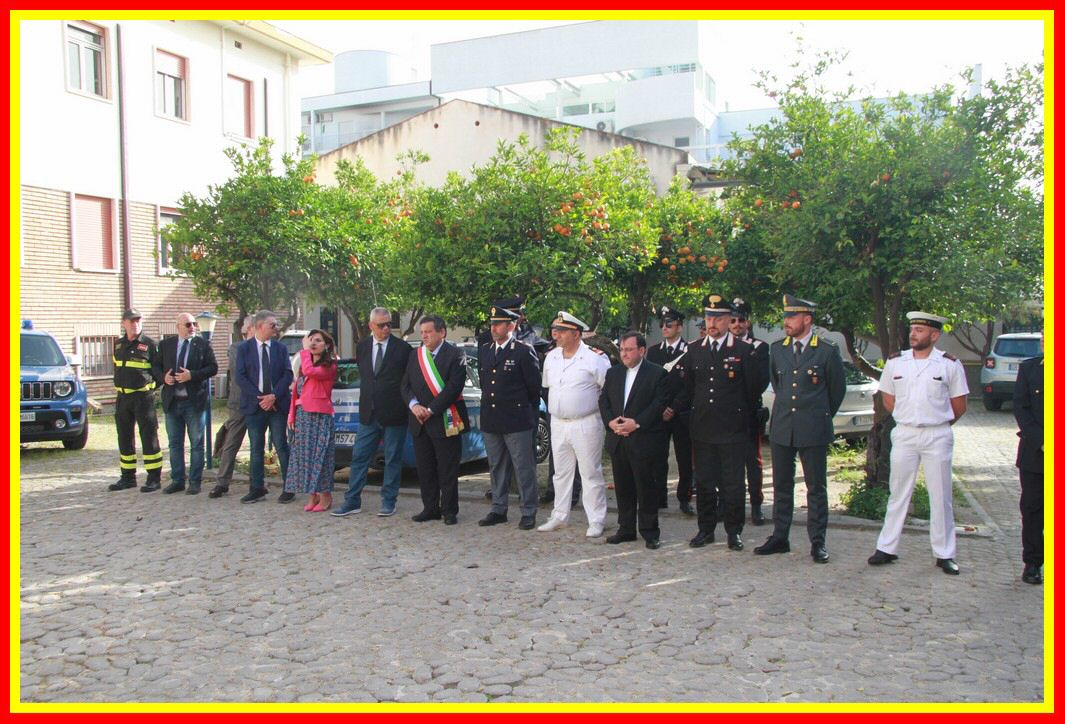 IMG_2433_tn.jpg