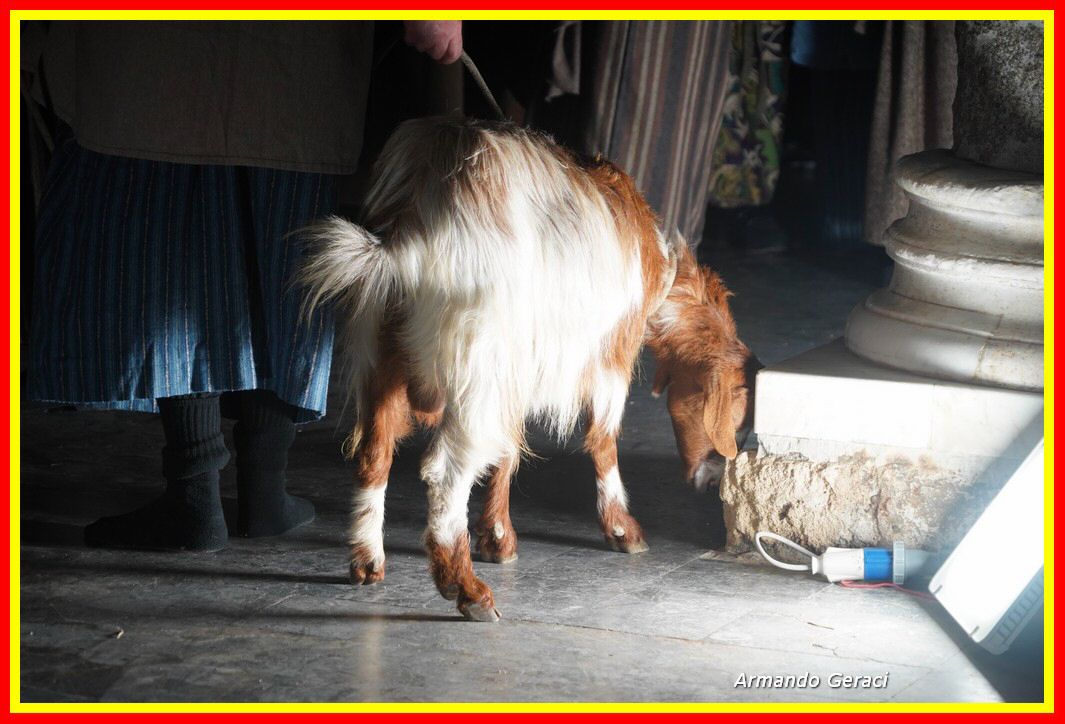 221223_Presepe_Vivente_Armoniai_029.jpg
