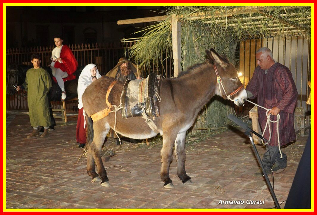 221223_Presepe_Vivente_Armoniai_149.jpg