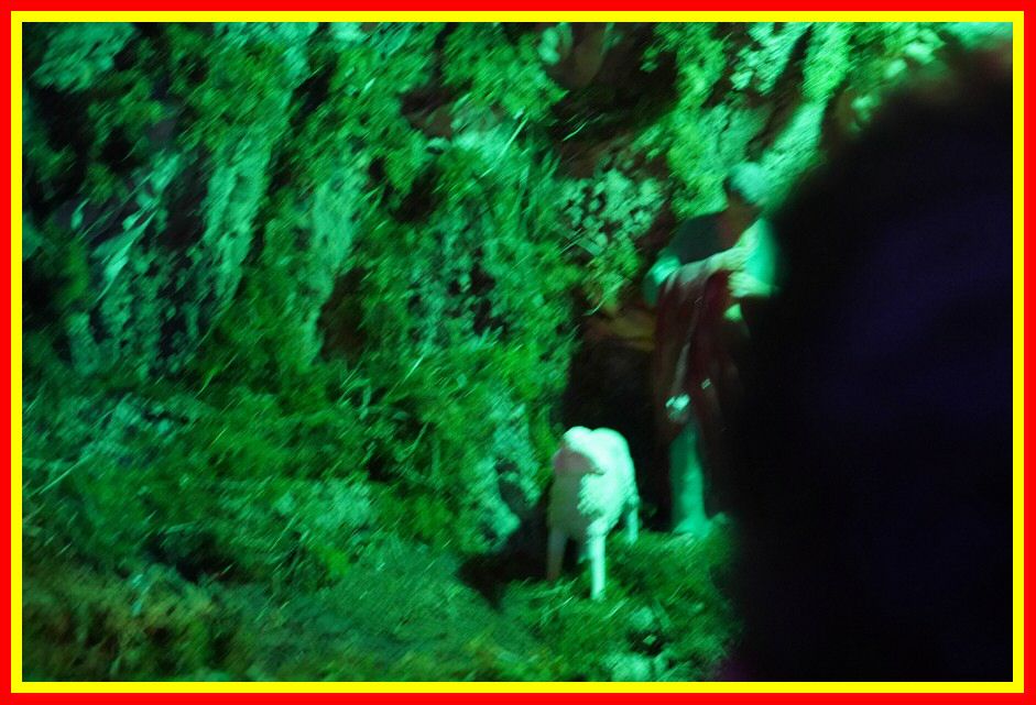 231208_Presepe_San_Pasquale_006.JPG
