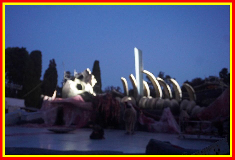 240512_Siracusa_AIACE_085.jpg