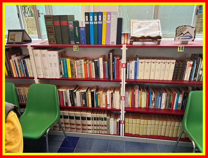 240517_Biblioteca_MASCI_002.jpg