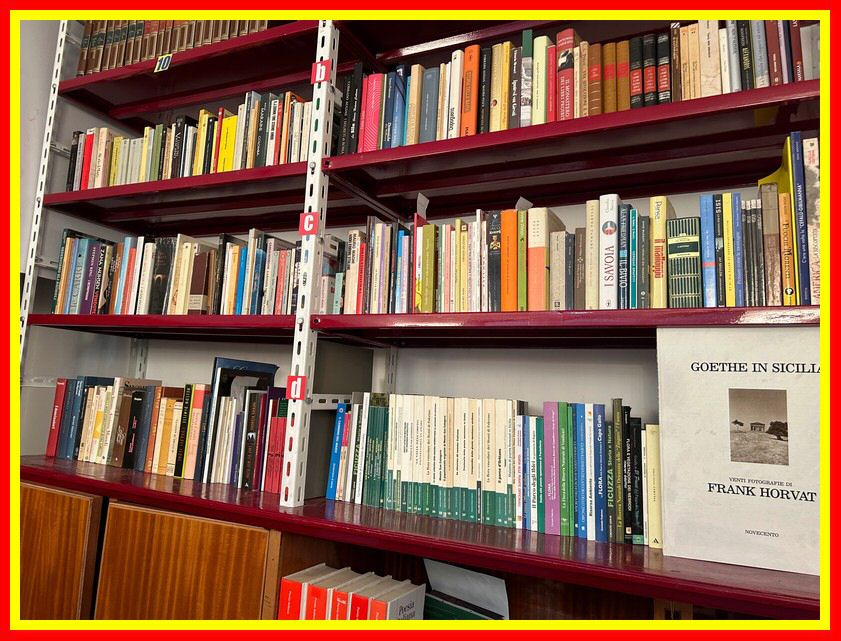 240517_Biblioteca_MASCI_004.jpg