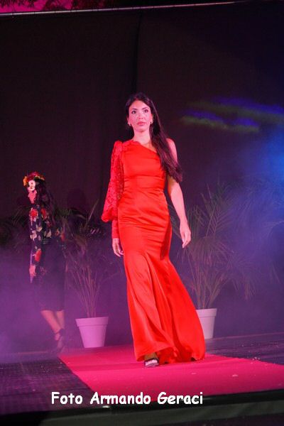 DSC03953_tn.jpg