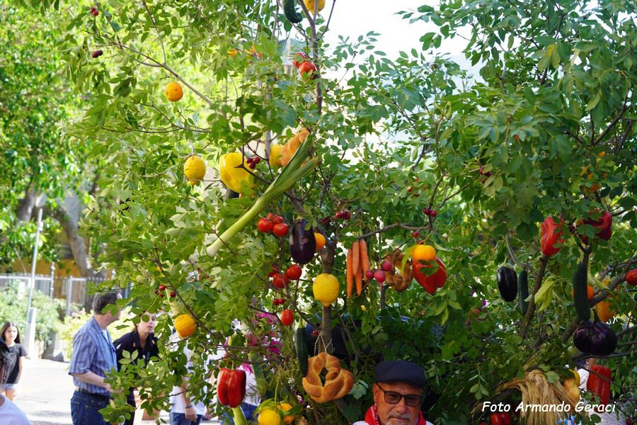 DSC05156_tn.jpg