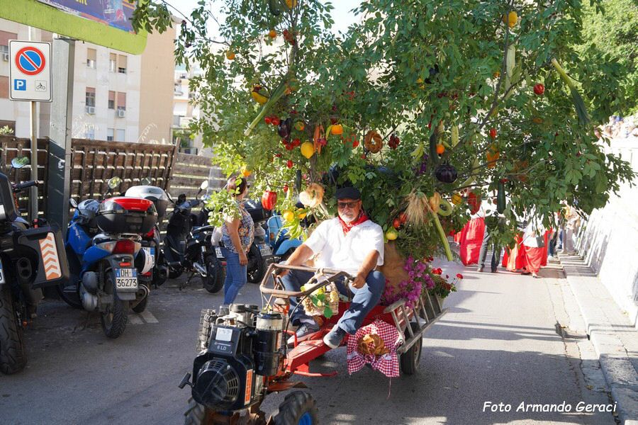 DSC05346_tn.jpg