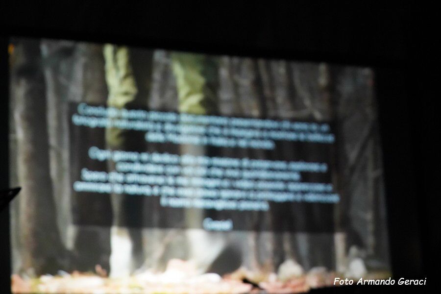 DSC07446_tn.jpg