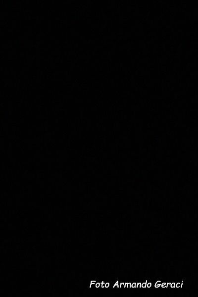 DSC07551_tn.jpg