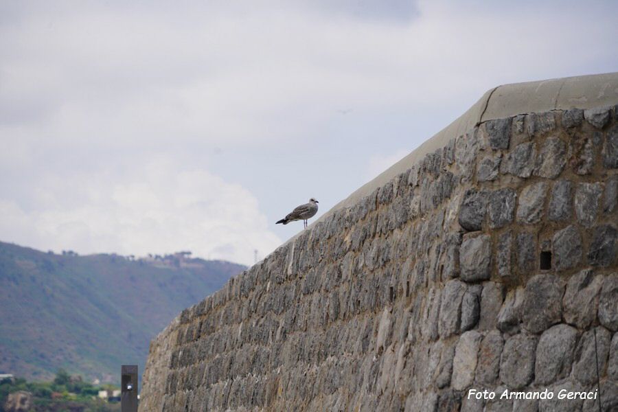 DSC07940_tn.jpg