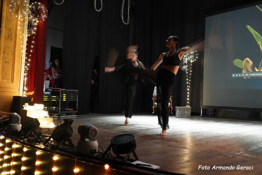 DSC08868_tn.jpg