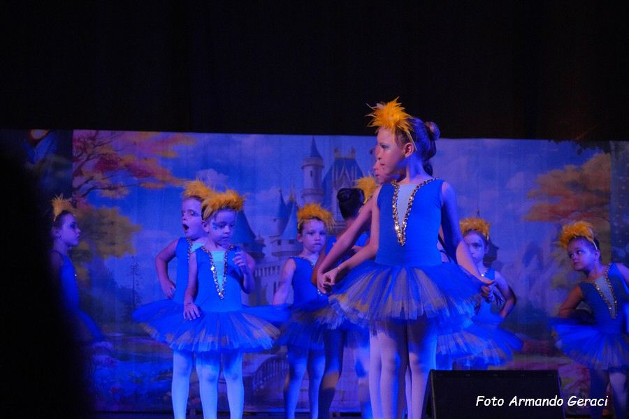 DSC00183_tn.jpg