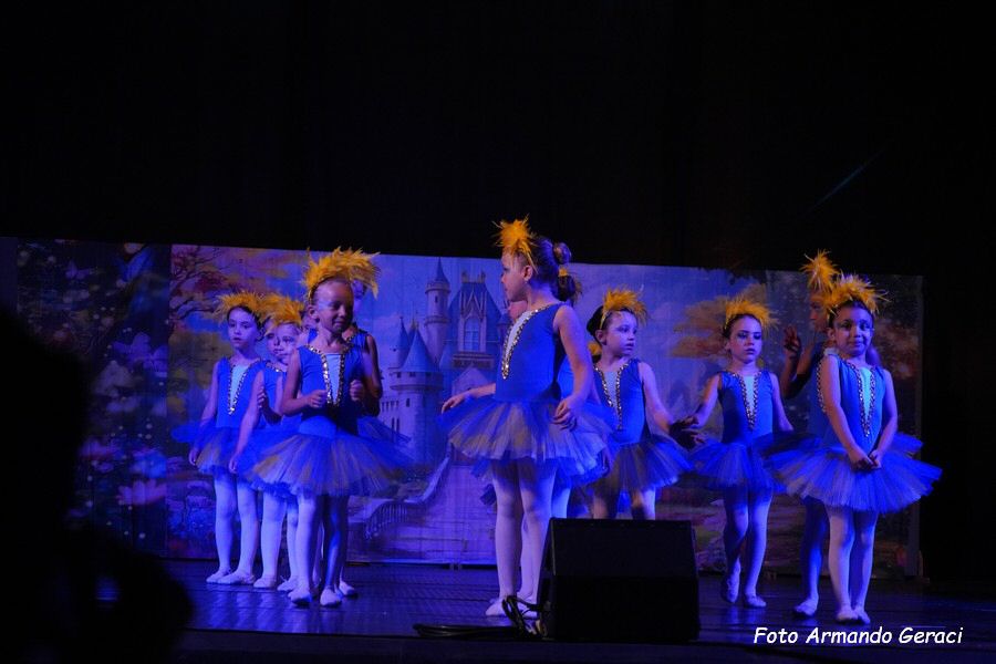 DSC00184_tn.jpg
