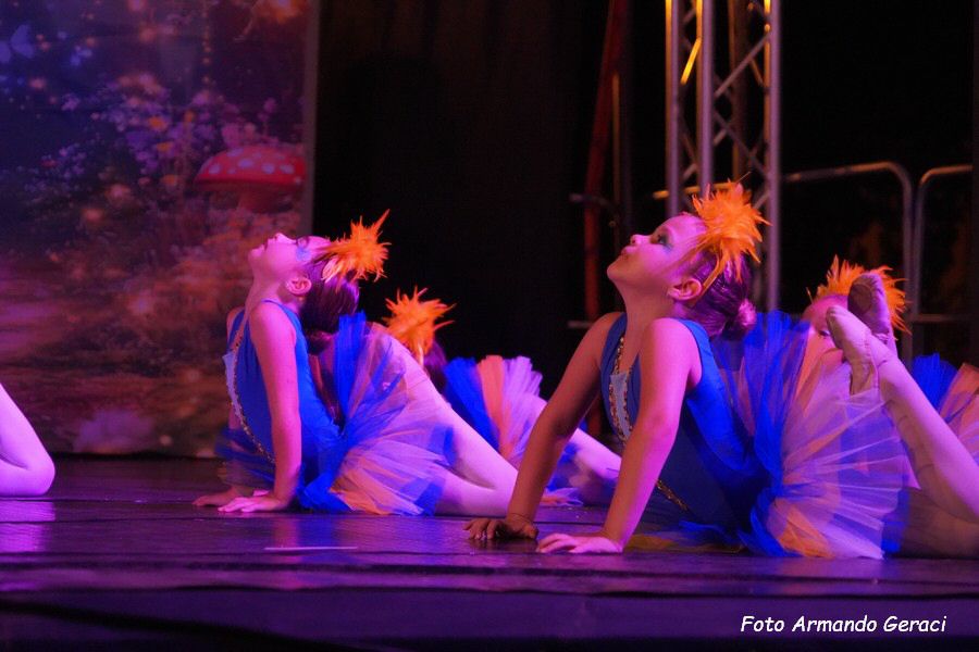 DSC00191_tn.jpg