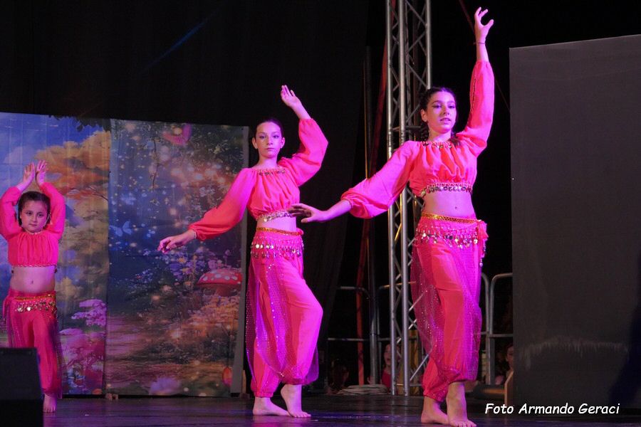 DSC00229_tn.jpg
