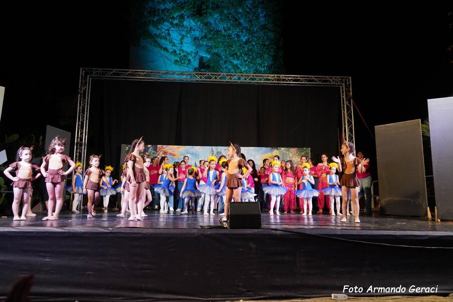 DSC00247_tn.jpg