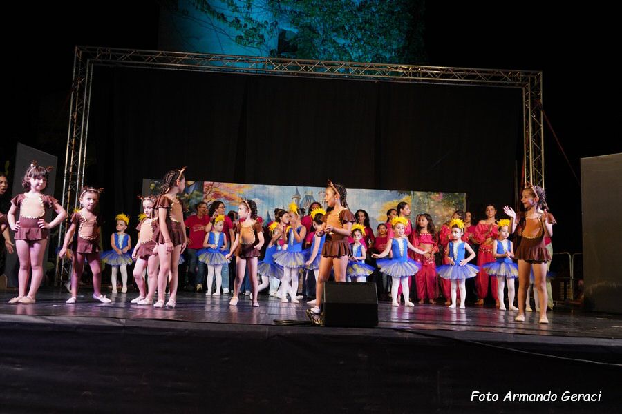 DSC00248_tn.jpg