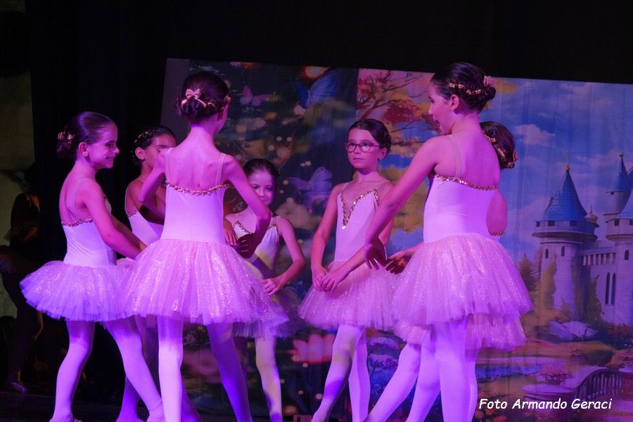 DSC00261_tn.jpg