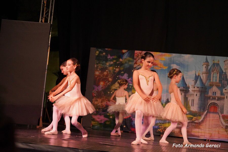 DSC00263_tn.jpg
