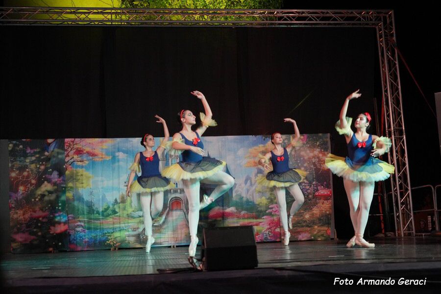 DSC00290_tn.jpg