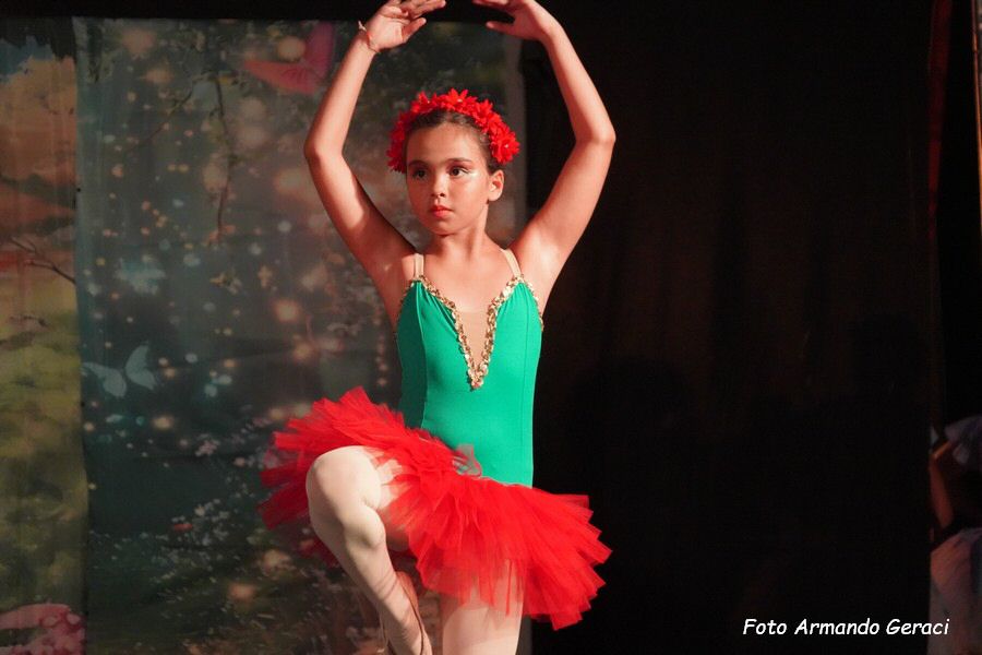 DSC00388_tn.jpg