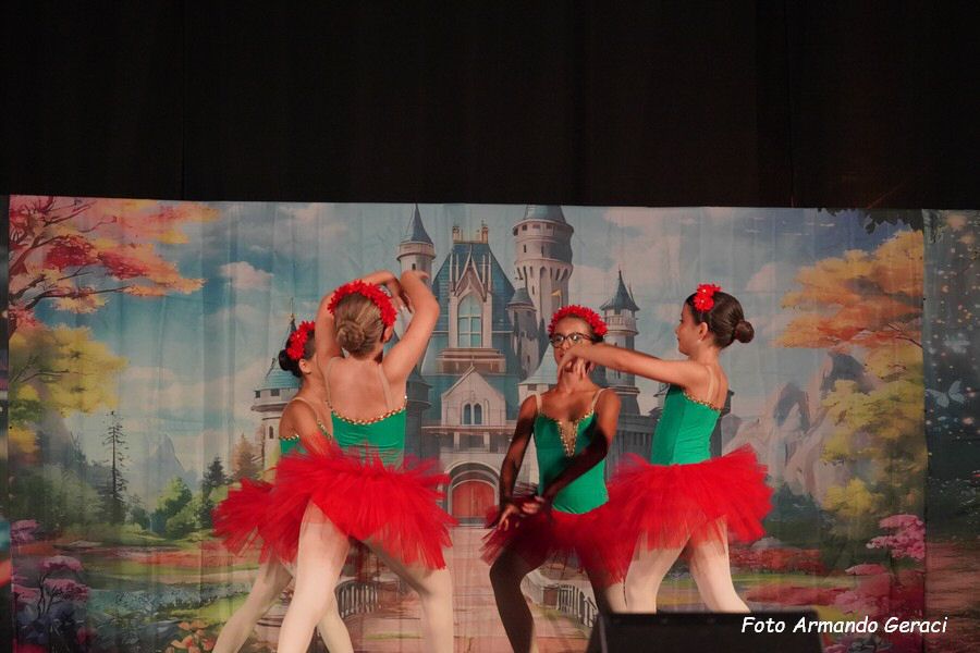 DSC00393_tn.jpg
