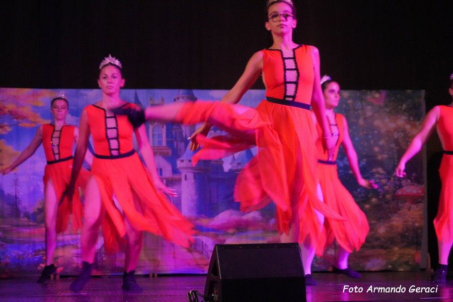 DSC00461_tn.jpg
