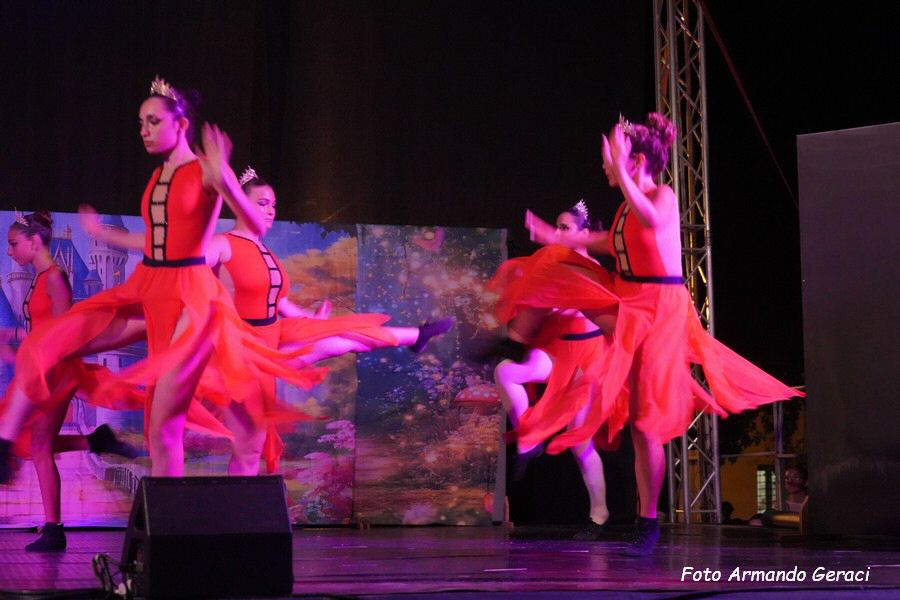 DSC00463_tn.jpg
