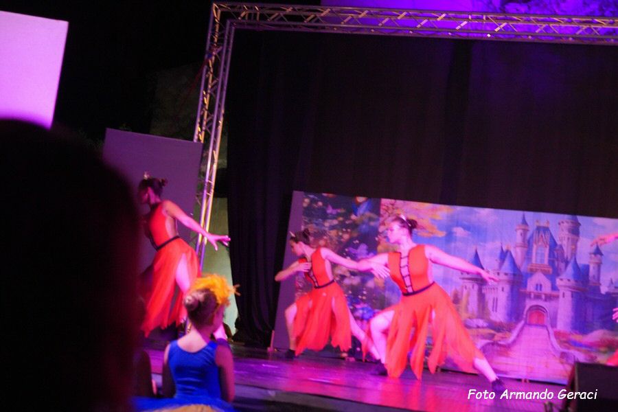 DSC00465_tn.jpg