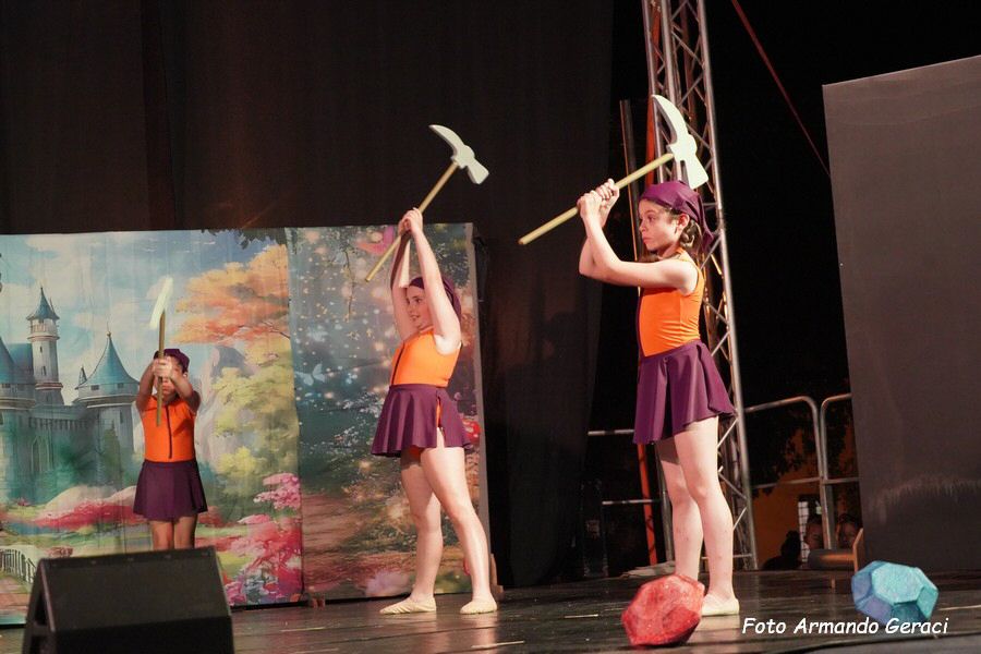 DSC00488_tn.jpg