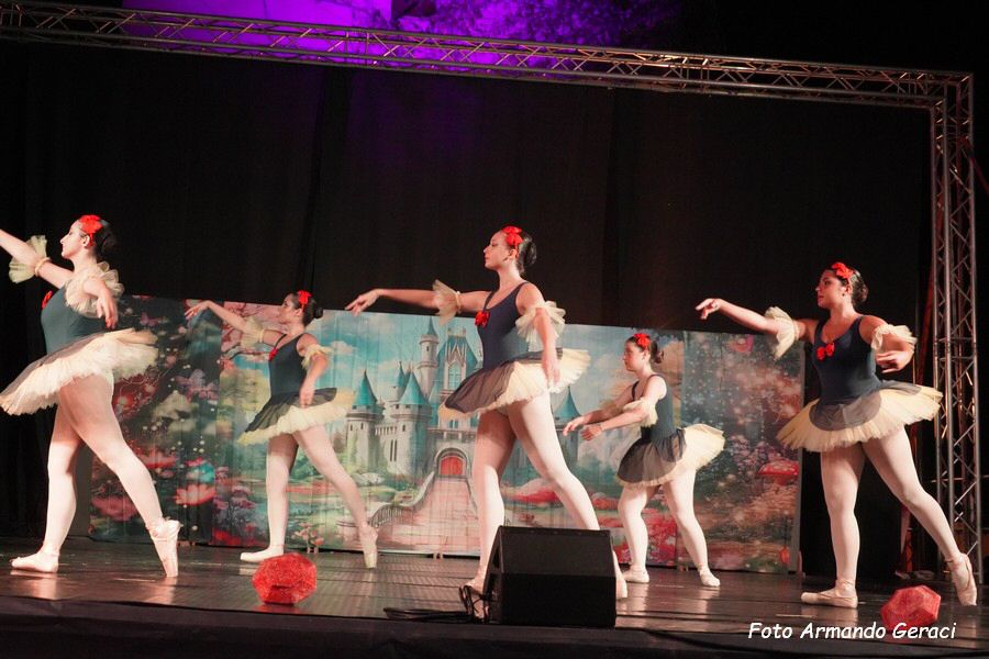 DSC00492_tn.jpg
