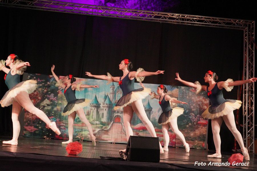 DSC00493_tn.jpg