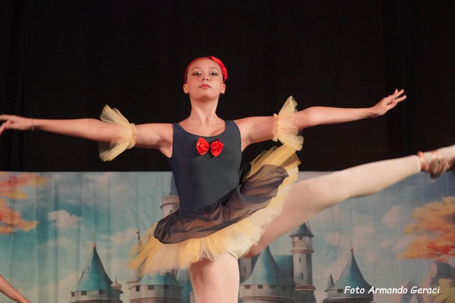 DSC00495_tn.jpg