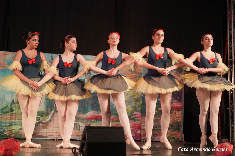 DSC00502_tn.jpg