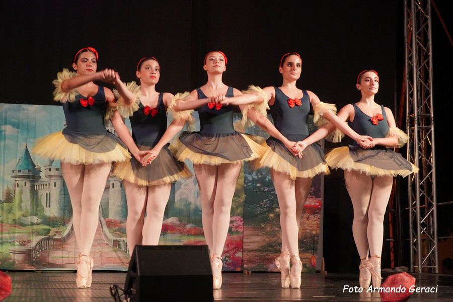 DSC00503_tn.jpg
