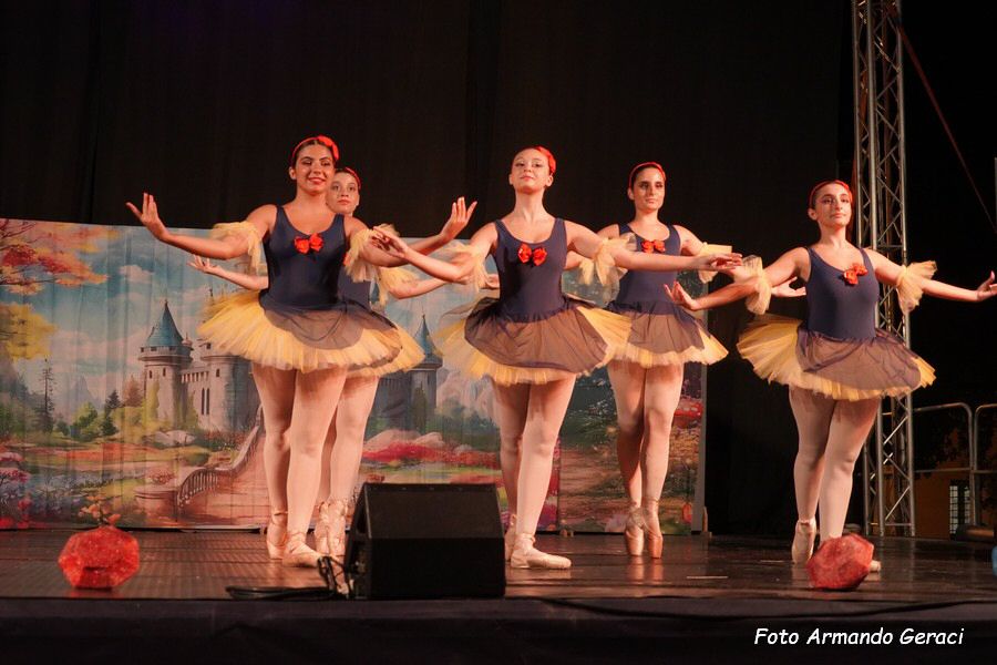DSC00504_tn.jpg