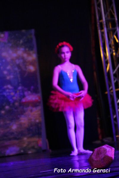 DSC00506_tn.jpg