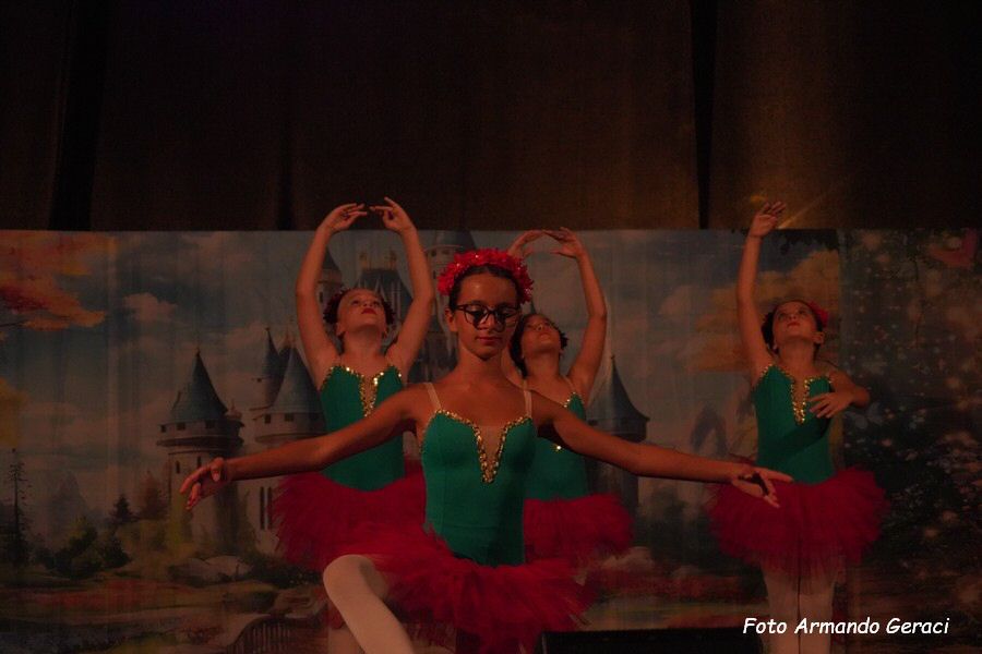 DSC00511_tn.jpg