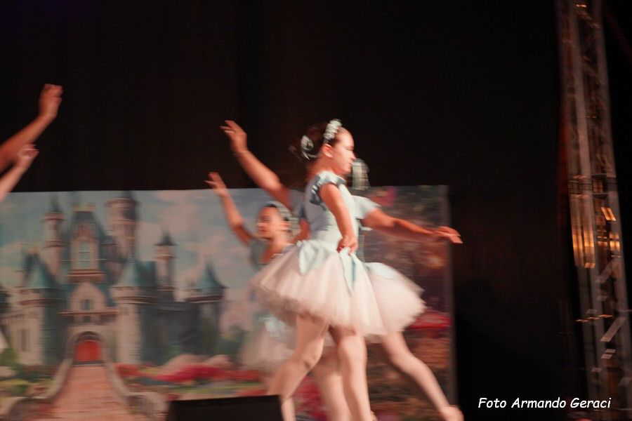 DSC00528_tn.jpg
